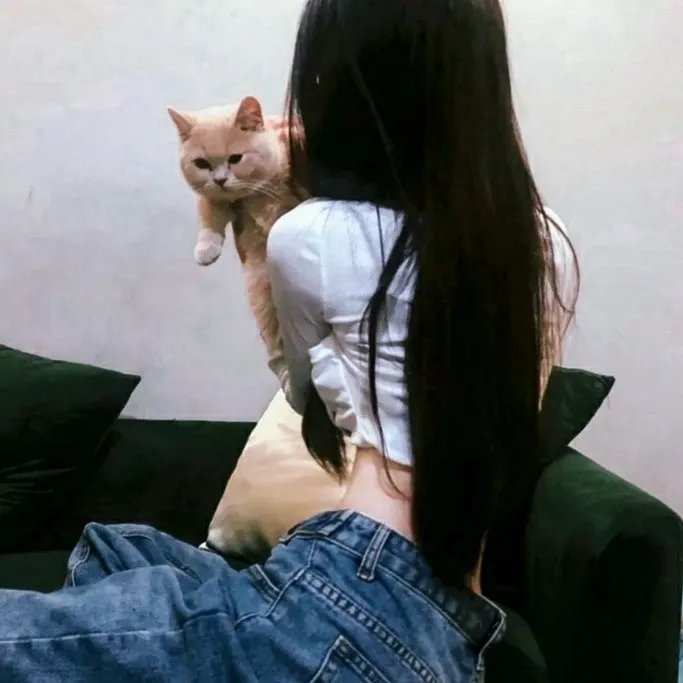 情书