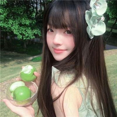 金龟子